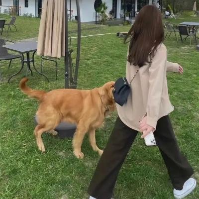 暗芝居第一季